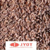 psyllium seed