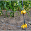 Solar Agriculture Fencing Systems