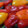 Iqf pepper whole