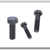 Hexagonal Head Screws
