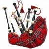 Silver mounts royal stewart tartan bag