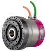 Gear Motor