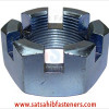 Hex Slotted And Castle Nut
