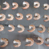 Shrimp
