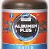 venky's nutrition Albumen plus