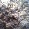 Arsenic Trioxide