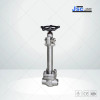 API 602 Cryogenic Globe Valve