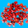 Dry longan of gac fruit puree