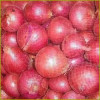 Red Onion