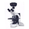 Diagnostic Instruments