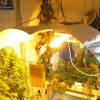 Grow lighting