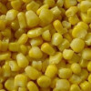 Frozen sweet corn