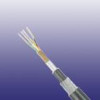 armoured outdoor telephone cable