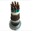 Control Cable