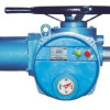 Motorized multi turn electrical actuator