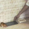 Rodent control