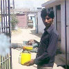 Fogging Service