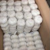 We Are Pleased to Offer the Best Quality Pure White Garlic.
