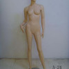 female mannequin