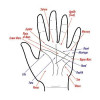 Palmistry