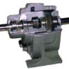 gear motor