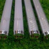 LED Tube Light