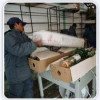 Loading & unloading services