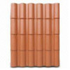 Fangxing Roma Tile