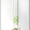 Color water bong
