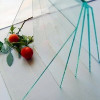 Clear Sheet Glass