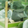 B-Tech Information Technology