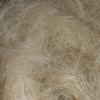Coir Fiber