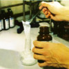 calcium nitrate