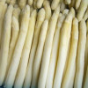 Frozen green asparagus/white aspara