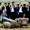 DF 12HP Walking Tractor