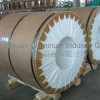 Aluminum Coil