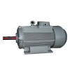 Two Speed Motors