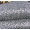 hexagonal wire mesh