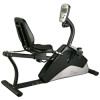 Magnetic recumbent bike