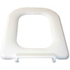 Toilet seat mould