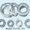 Flat Washer/Spring Washer