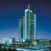 Tinted Float Glass