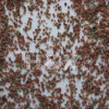 garnet for water jet cutting