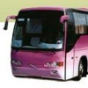 Daily bus services