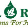 Herbal Extracts Suppliers