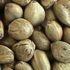 hempseeds