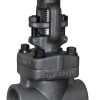 screwed end Gate valve
