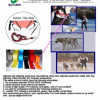 skijoring belt, skijoring equipment