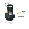 Dewatering Pumps