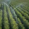 Drip Irrigation System